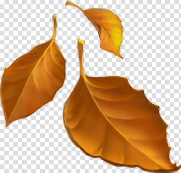 Emojipedia Autumn leaf color Autumn leaf color, Emoji transparent background PNG clipart