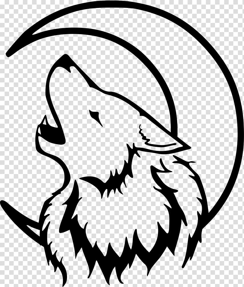 Gray wolf Drawing Lunar phase , white wolf transparent background PNG clipart