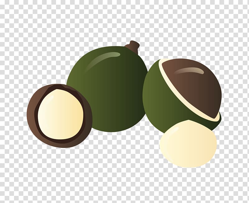 Oil Product design Fruit Aphid, macadamia transparent background PNG clipart