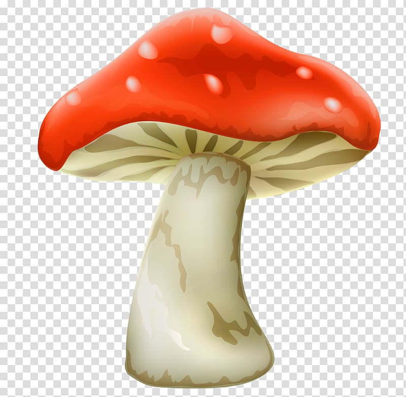mushroom , Mushroom , mushroom transparent background PNG clipart