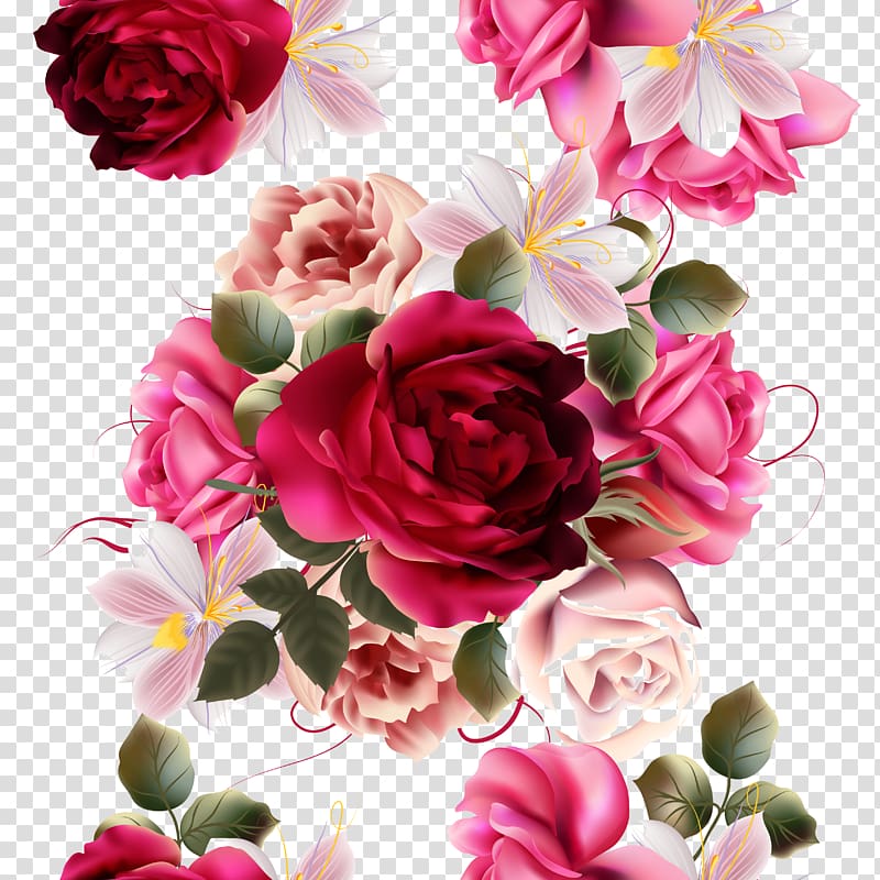 red and pink roses , Rose Flower , Beautiful flowers material painting plant transparent background PNG clipart