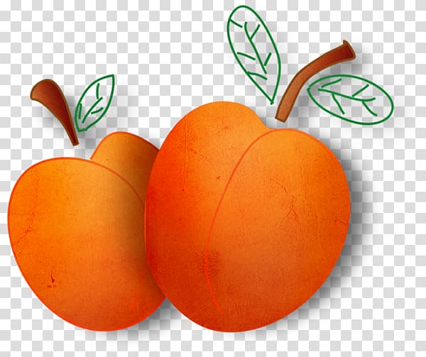 Vegetable Fruits et légumes Apelsin, vegetable transparent background PNG clipart