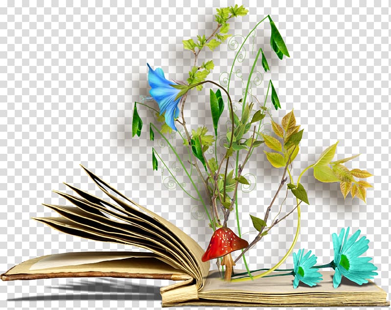 Flower , Book squid transparent background PNG clipart