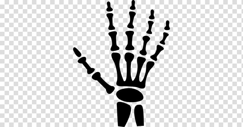 Human skeleton Carpal bones Hand Human body, hand transparent background PNG clipart