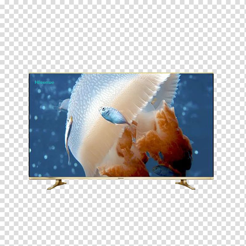 Jellyfish Underwater Ocean, Hisense TV transparent background PNG clipart
