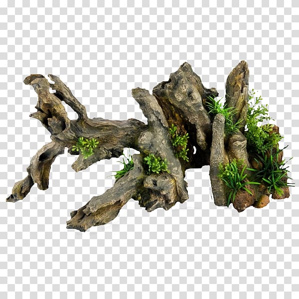 Tree Driftwood Houseplant, tree transparent background PNG clipart