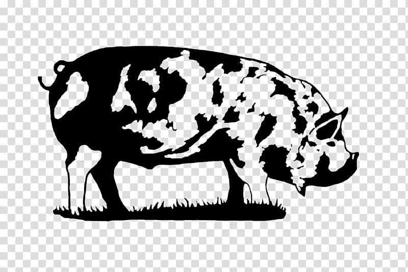 Miniature pig Kunekune Dairy cattle, pig transparent background PNG clipart