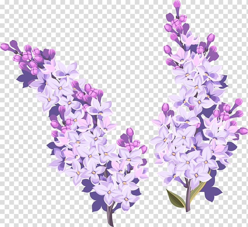 white and purple petaled flowers , Flower pattern elements transparent background PNG clipart