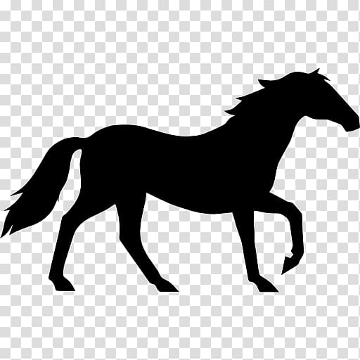 Tennessee Walking Horse Equestrian Standing Horse Collection , others transparent background PNG clipart