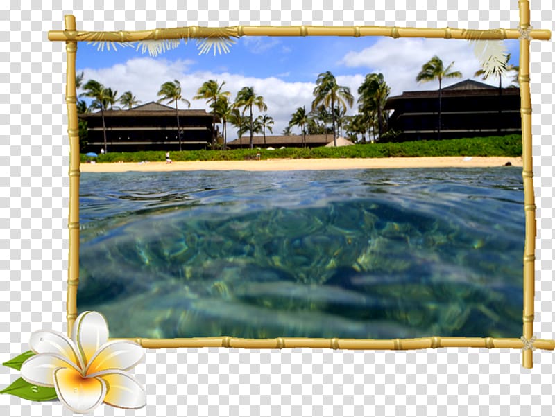 Hoku Water Sports Poipu Beach Frames Poipu Road, tropical frame transparent background PNG clipart