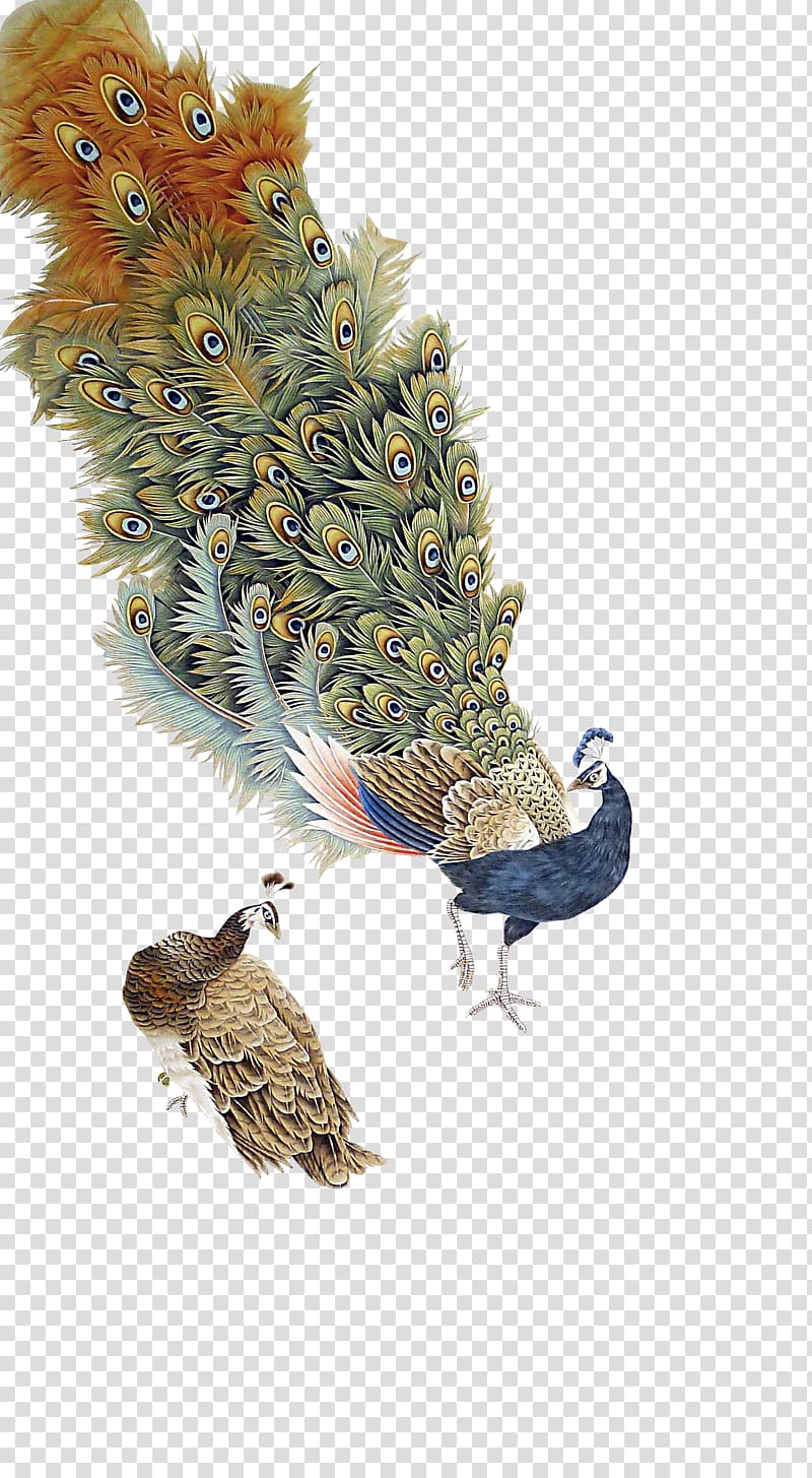 two brown and blue peacocks illustration, Graphic design Peafowl, Antique Peacock transparent background PNG clipart