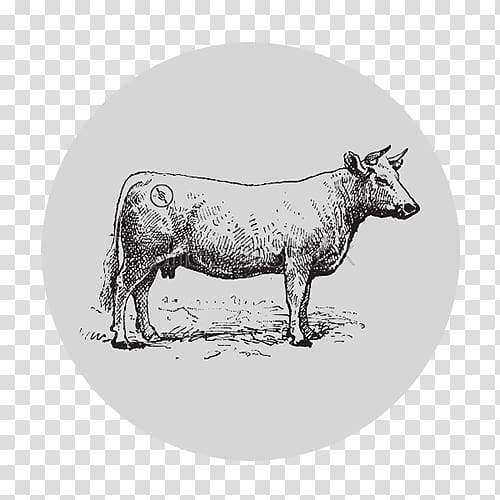 Beef cattle Charolais cattle Steak Meat, meat transparent background PNG clipart