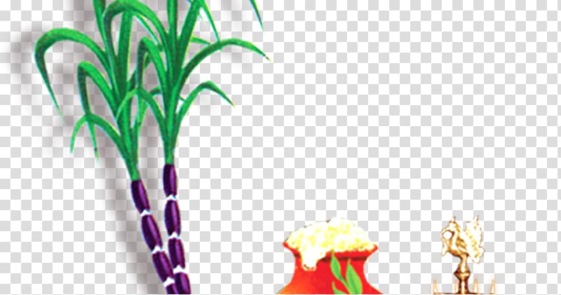 Thai Pongal Sugarcane , others transparent background PNG clipart