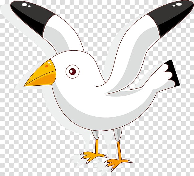 Rock dove Cartoon , cute cartoon transparent background PNG clipart