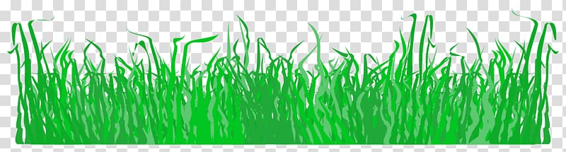 Lawn , grass transparent background PNG clipart