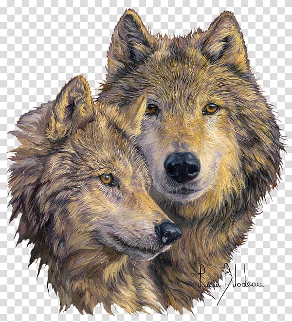 Gray wolf Painting iPhone Drawing Embroidery, bond transparent background PNG clipart