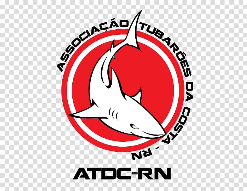 Nordeste Natal Portal Graphic design Sport, others transparent background PNG clipart
