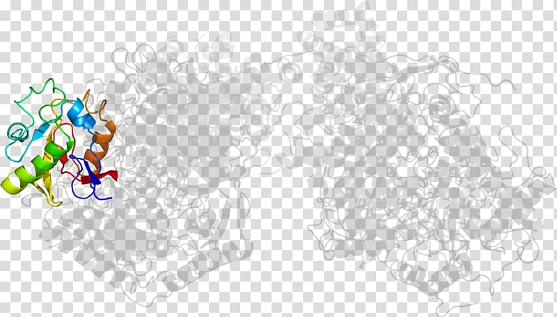 Desktop Computer , Computer transparent background PNG clipart