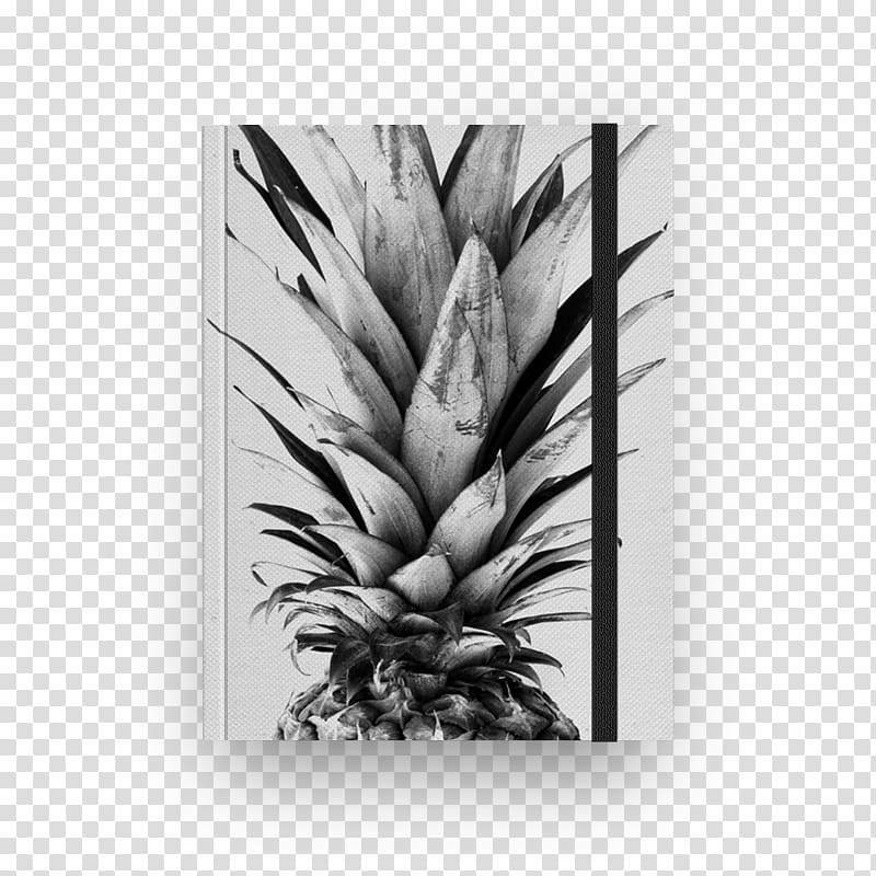 Pineapple Tropical fruit White avocado, pineapple transparent background PNG clipart