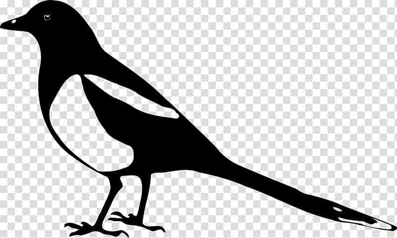 Eurasian Magpie Silhouette , animal silhouettes transparent background PNG clipart