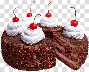 Food Blog: Portal Cake!