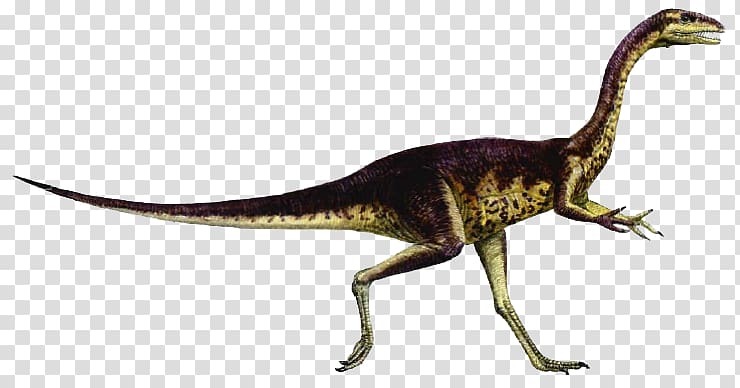 Carnivores: Dinosaur Hunter Elaphrosaurus Dinosaur size Spinosaurus Giganotosaurus, Dinosaur transparent background PNG clipart