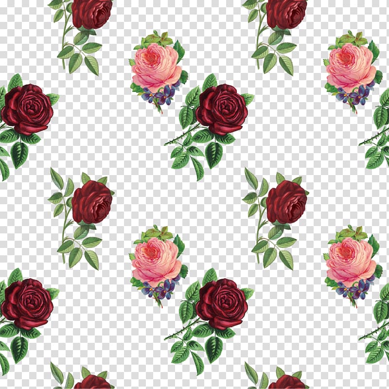 Garden roses Flower , vintage rose transparent background PNG clipart