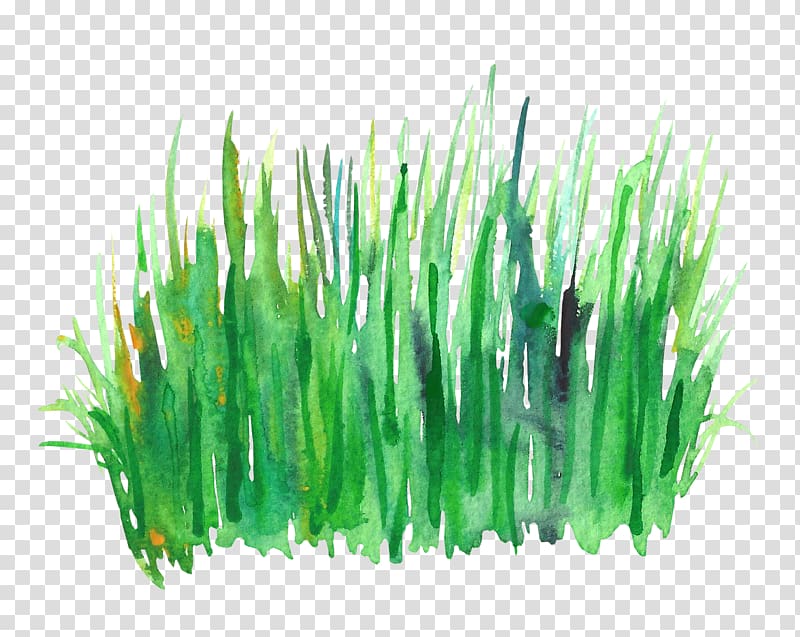 green grass painting, Green Watercolor painting, Watercolor grass transparent background PNG clipart