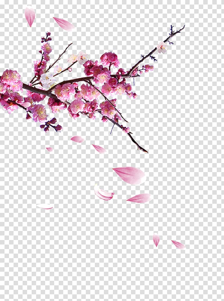 Chinoiserie Shan shui Poster Fukei, Plum flower transparent background PNG clipart