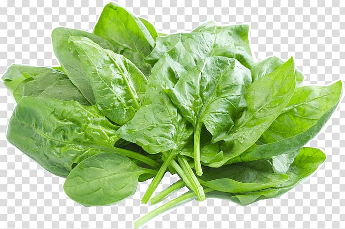 Spinach salad Vegetarian cuisine Health shake Food, vegetable transparent background PNG clipart