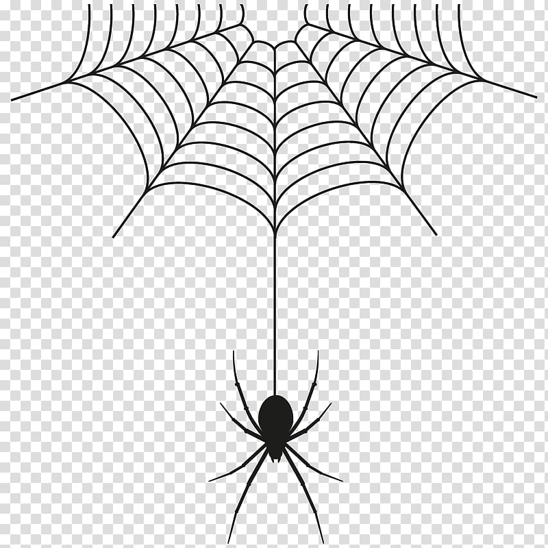 Spider web, spider transparent background PNG clipart