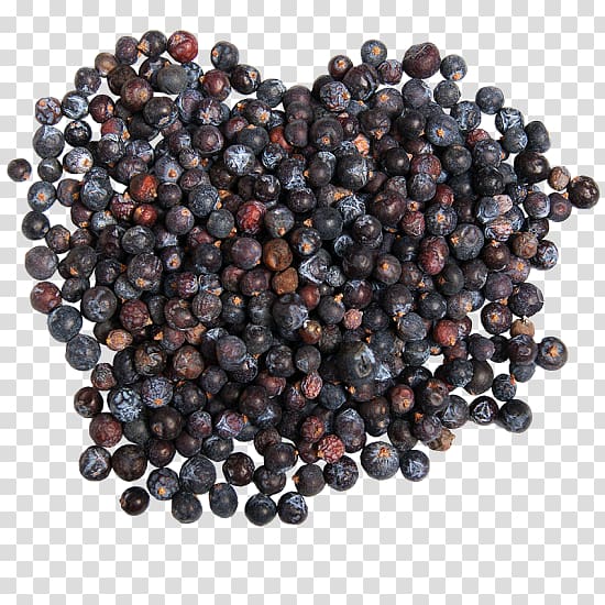 Blueberry Bilberry Huckleberry Juniper berry, blueberry transparent background PNG clipart