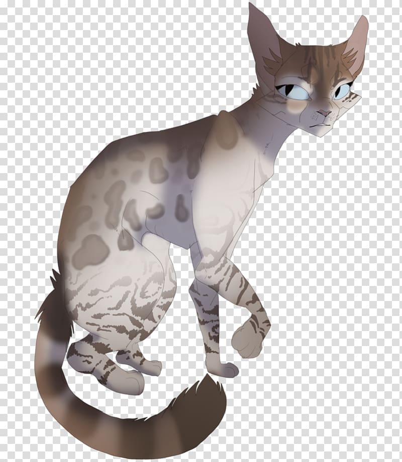 Sphynx cat Donskoy Devon Rex Peterbald American Wirehair, asia transparent background PNG clipart