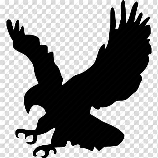 silhouette of eagle illustration, Bald Eagle Bird Golden eagle , Icon Eagle Free transparent background PNG clipart