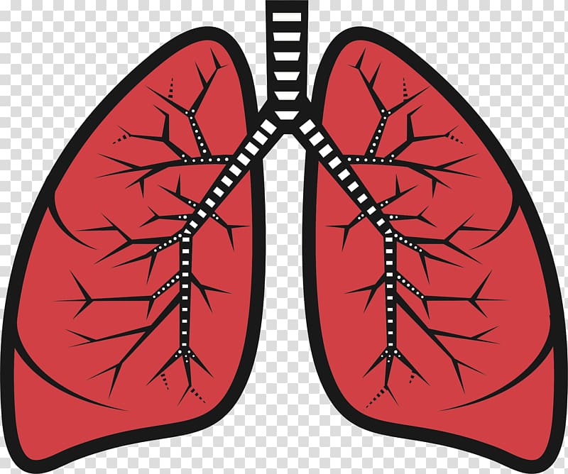 Lung , lungs surgery transparent background PNG clipart