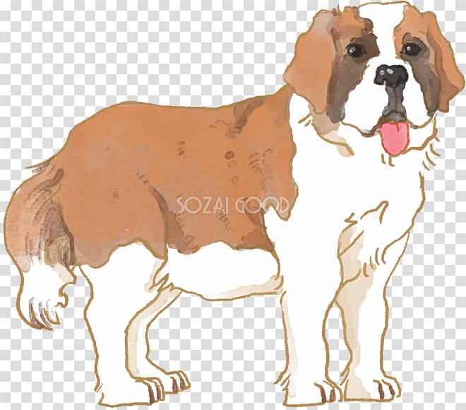 Dog breed St. Bernard English Foxhound Puppy Companion dog, puppy transparent background PNG clipart