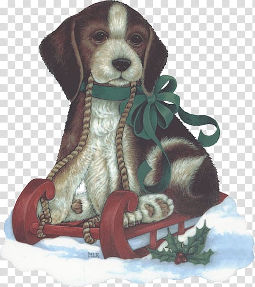 Beagle Puppy Dog breed Christmas Companion dog, puppy transparent background PNG clipart