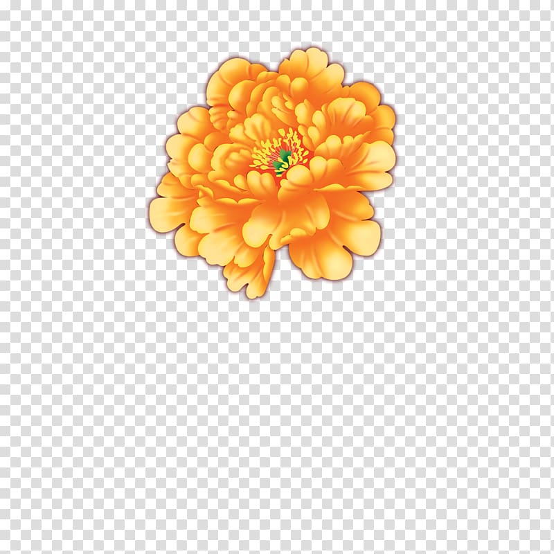 orange flower illustration, Moutan peony, Peony transparent background PNG clipart