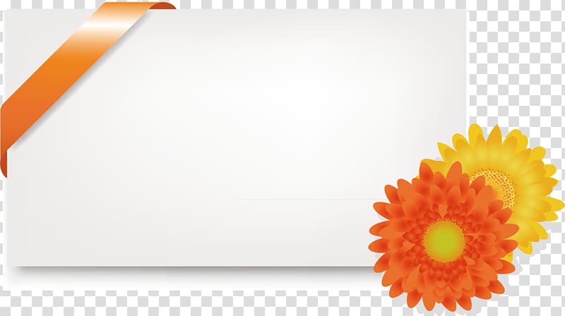 Flower Orange Transvaal daisy Euclidean , Text Box transparent background PNG clipart
