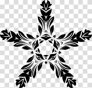 Floral design, design transparent background PNG clipart thumbnail