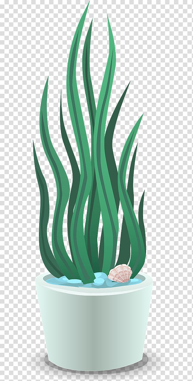 Plant Dehumidifier, Soft plants transparent background PNG clipart