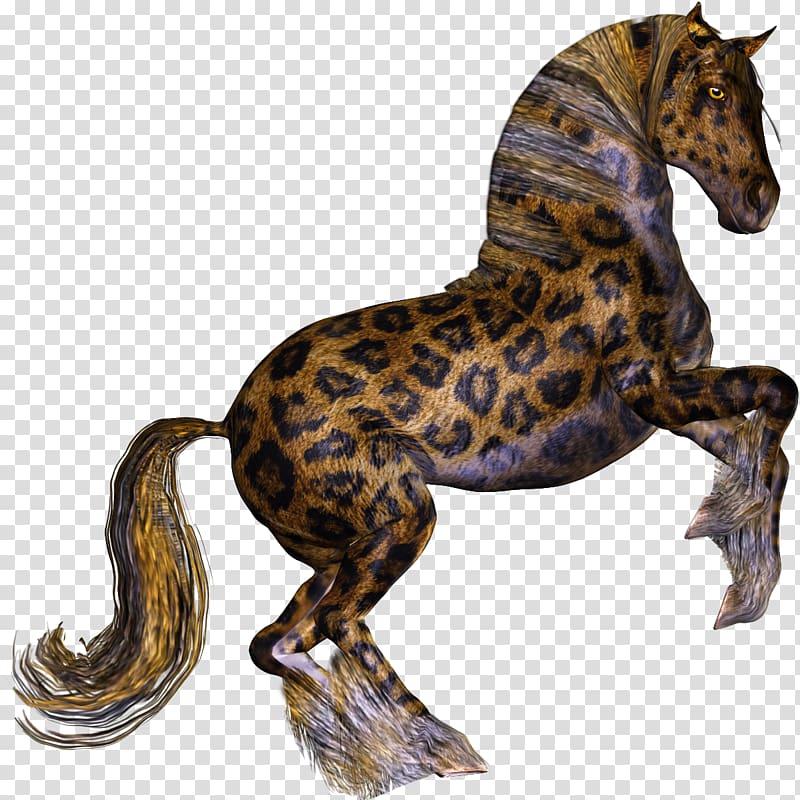 Leopard Appaloosa Tiger horse Stallion, leopard transparent background PNG clipart