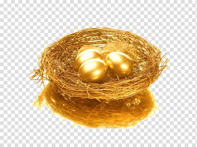 A Golden Egg In Nest With Leaves PNG Images