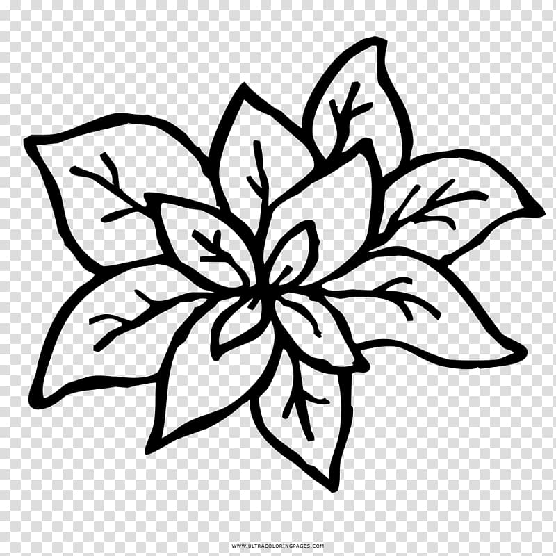 Drawing Coloring book Basil Floral design, others transparent background PNG clipart