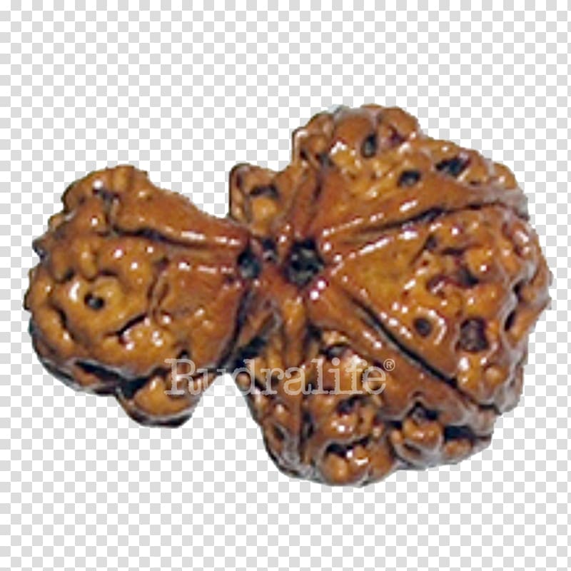 Rudraksha Rudralife Mahadeva Bead Japamala, others transparent background PNG clipart