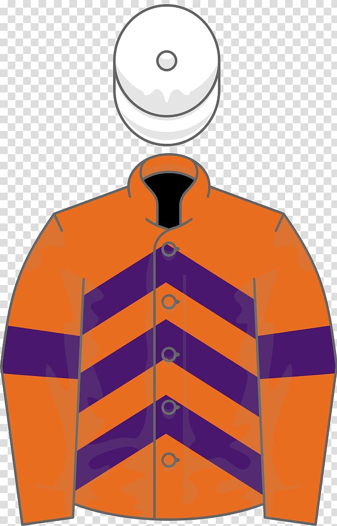 Ascot Gold Cup Horse racing Information, owner transparent background PNG clipart