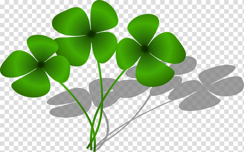 Good luck charm Four-leaf clover, Cartoon Clover Collection transparent background PNG clipart