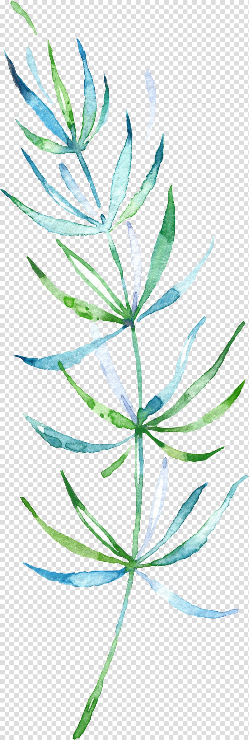 green, teal, and white fern illustration, Watercolor painting Leaf , Drawing plant transparent background PNG clipart