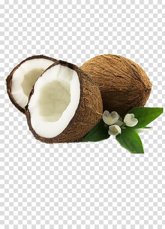 Coconut oil Plant milk Coconut cream Fruit, coconut transparent background PNG clipart