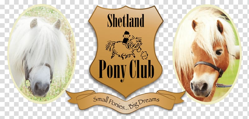 Shetland Pony Club Horse & pony care Riding Pony, others transparent background PNG clipart